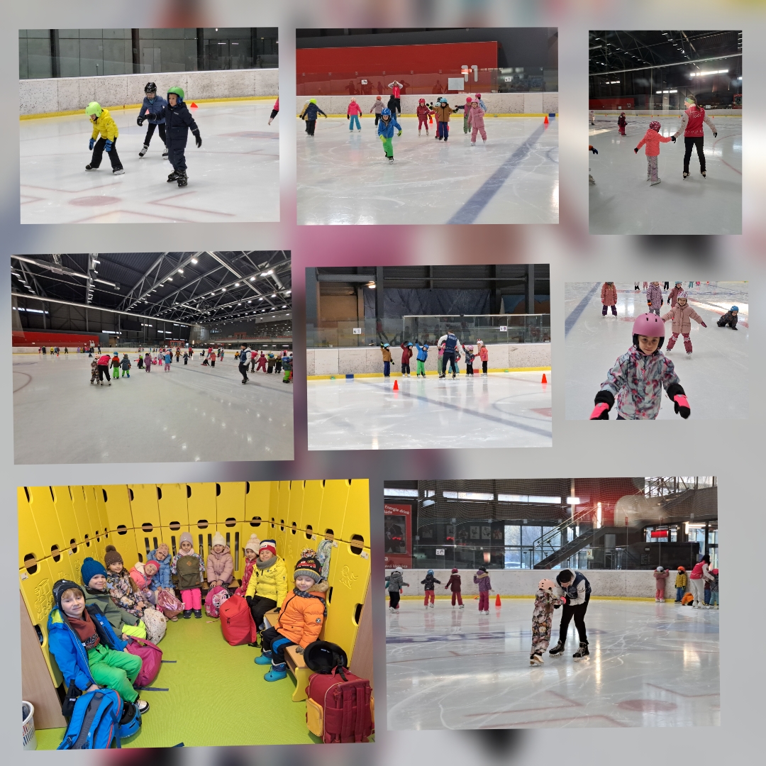 15.1. Ice skating course